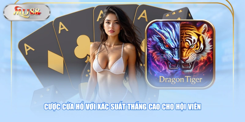 Cược cửa Hổ với xác suất thắng cao cho hội viên