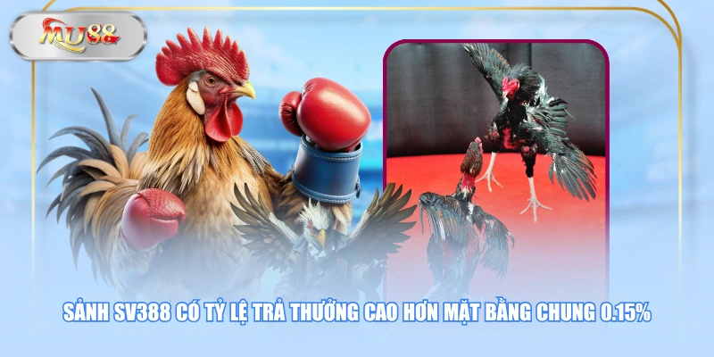 Sảnh SV388 có tỷ lệ trả thưởng cao hơn mặt bằng chung 0.15%